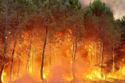 le violent incendie a Landiras en Gironde a repris autoroute A63 fermee