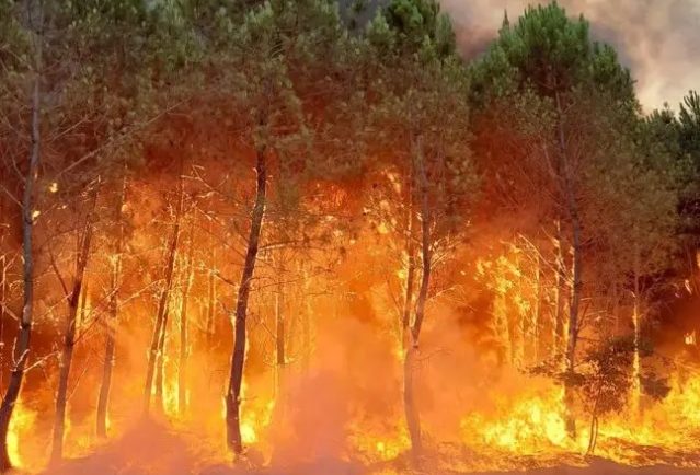 le violent incendie a Landiras en Gironde a repris autoroute A63 fermee